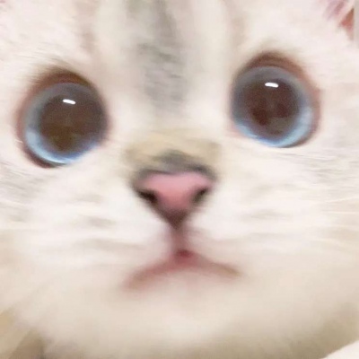 千鸢锁画